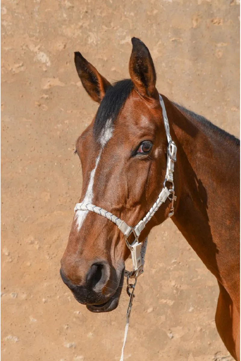 Hacker Halter & Lead Rope