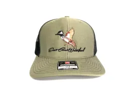 Hooded Merganser Snap Back