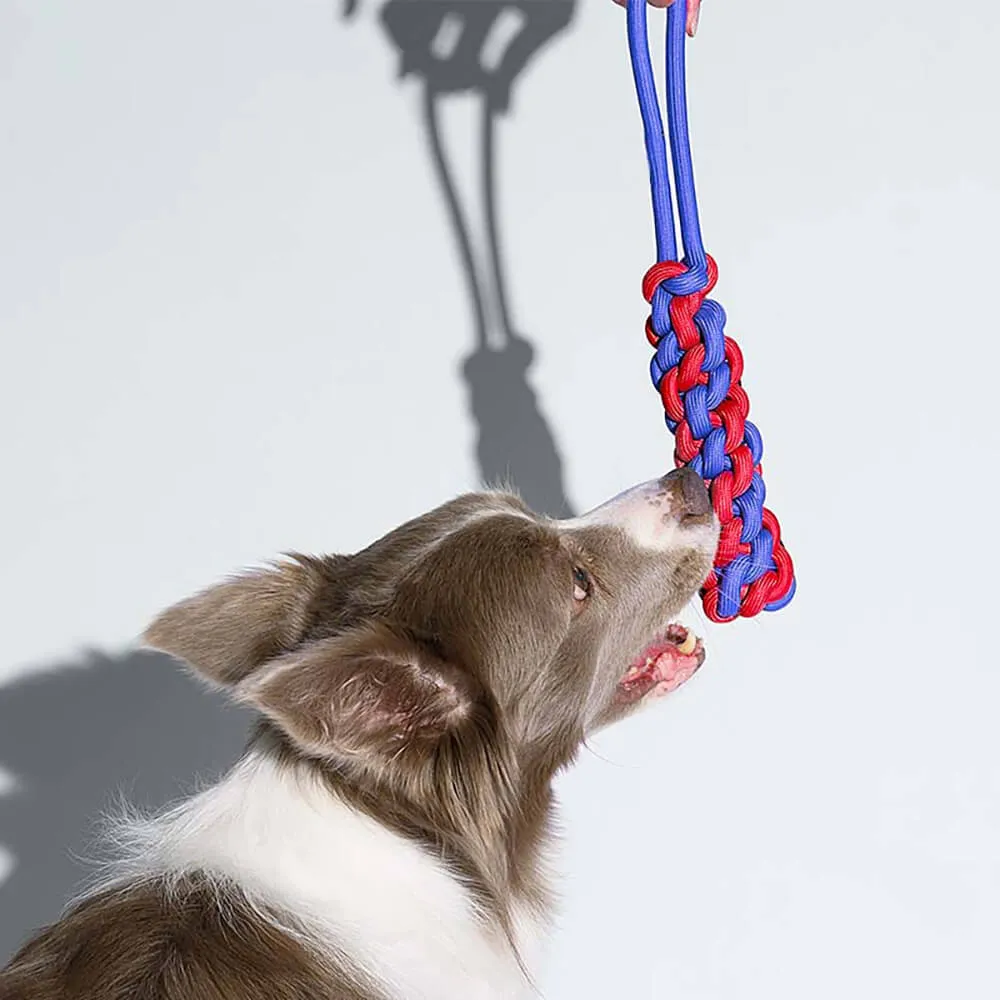 Knots Rope Dog Toy Set - Color Clash