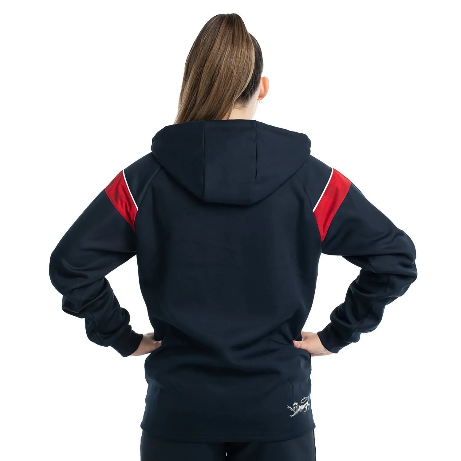 NSW CIS Hoodie